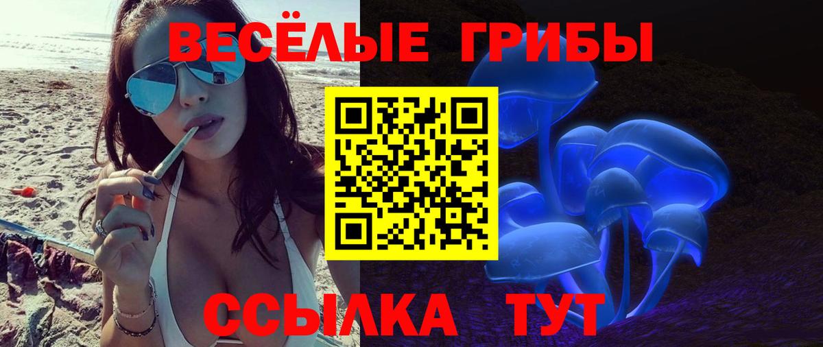 Галлюциногенные грибы мицелий Коломна