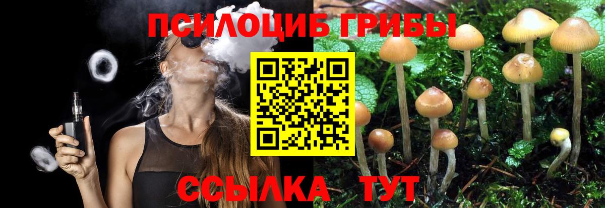 Псилоцибиновые грибы Cubensis  Вход с VPN  Псилоцибиновые грибы GOLDEN TEACHER  Коломна 